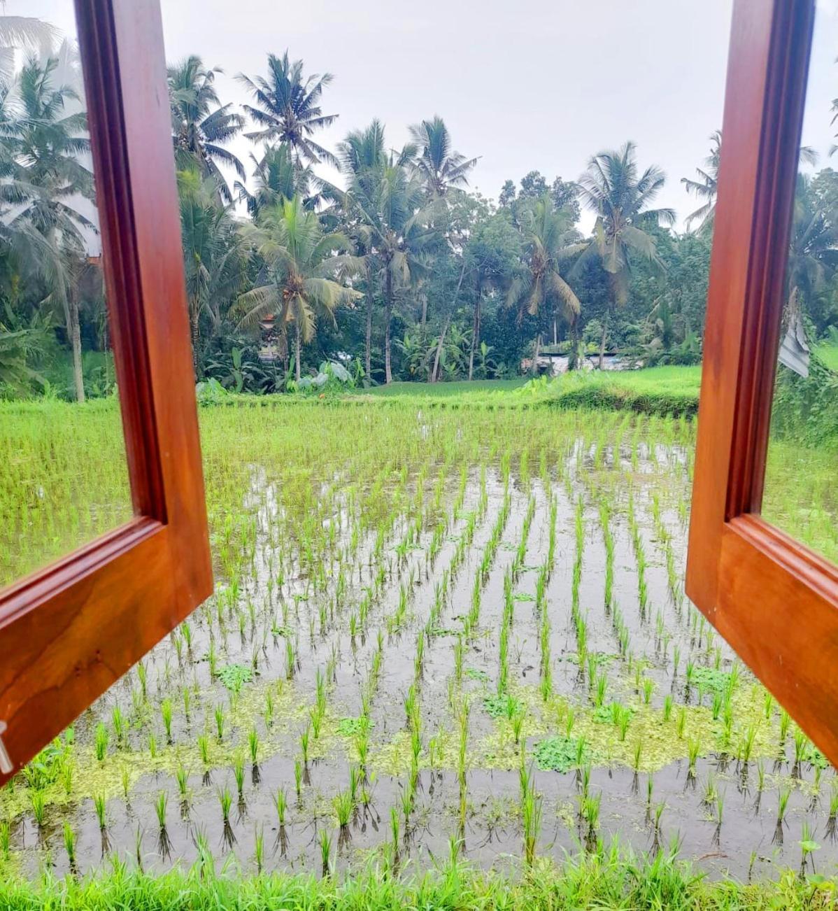 As I Am Ubud Retreat Номер фото